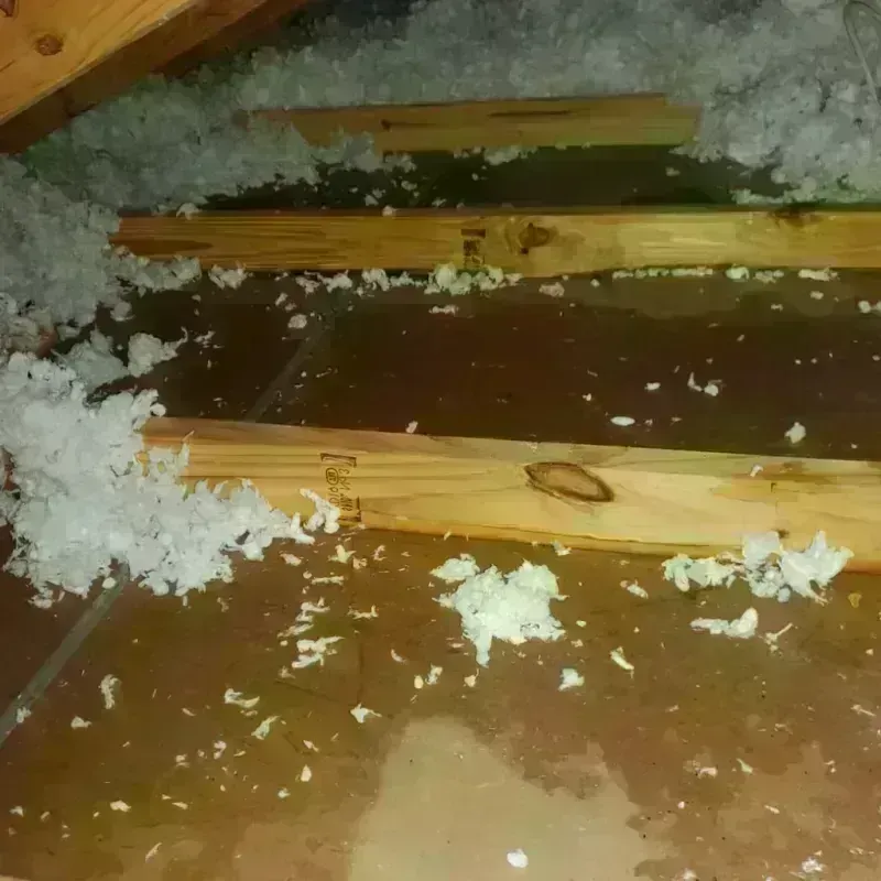 Attic Water Damage in Sharpes, FL