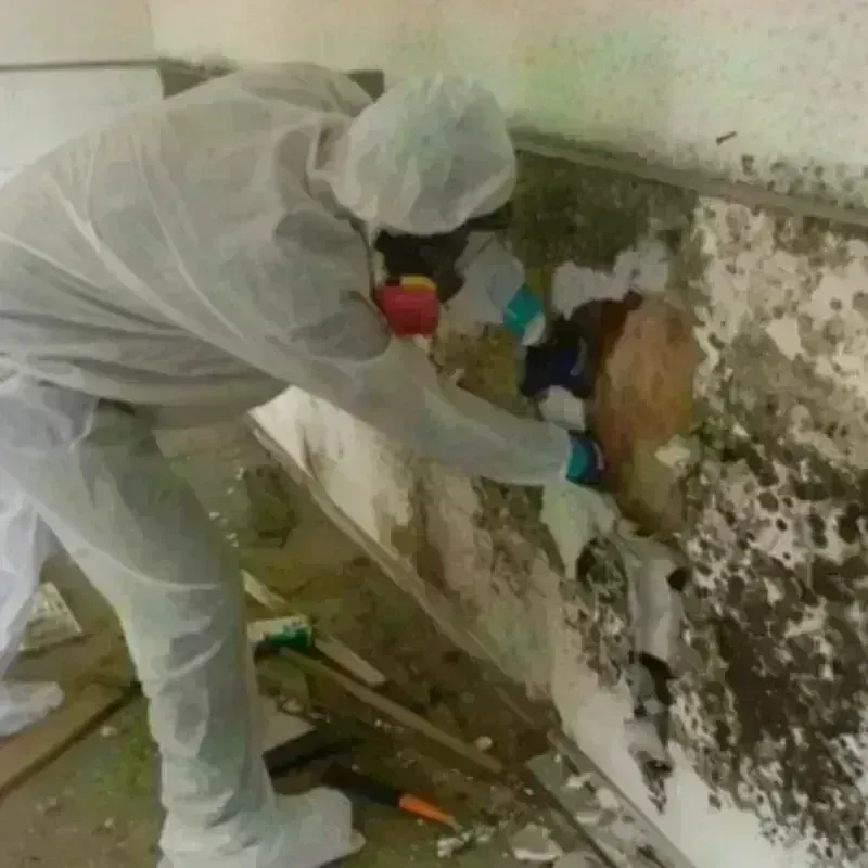 Mold Remediation and Removal in Sharpes, FL